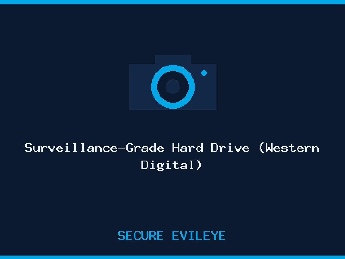 Surveillance-Grade Hard Drive (Western Digital)